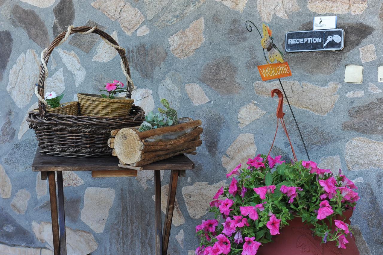 Guesthouse Kerkinitis Lithotopos Екстер'єр фото